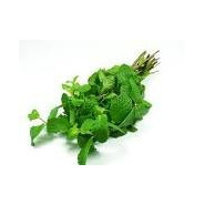 Menthe poivrée en poudre 10g