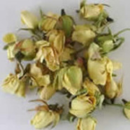 Boutons de Roses ivoires 50g
