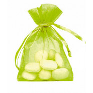 Lot de 10 sacs en organdi vert