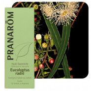 Huile essentielle d'Eucalyptus radié