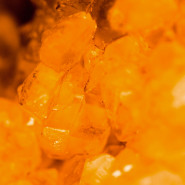 Fragrance Ambre Vanille