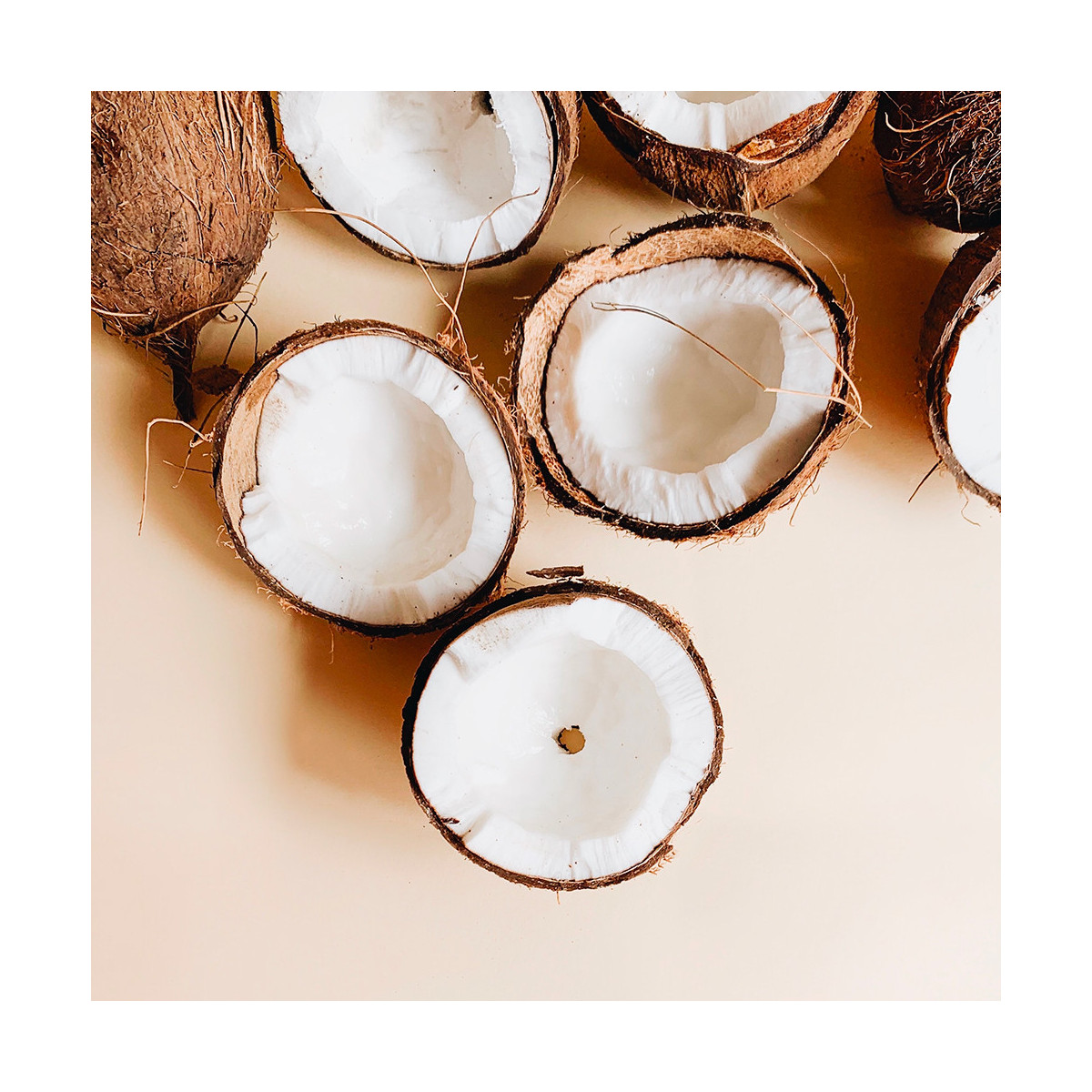 Fragrance Crème de Coco