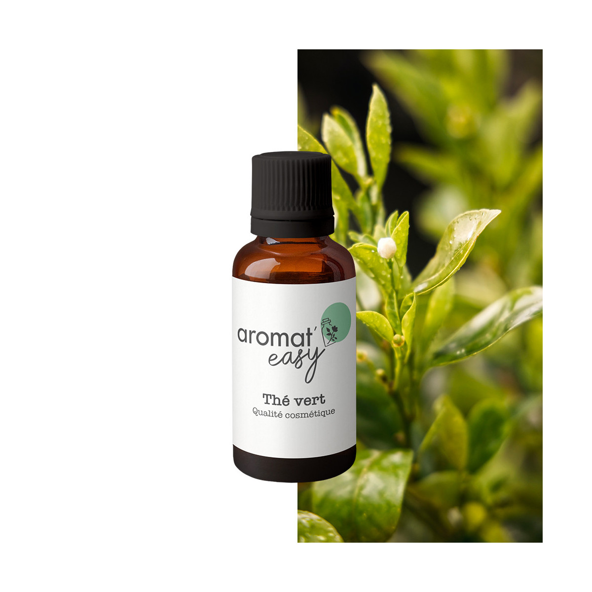 Fragrance Thé vert