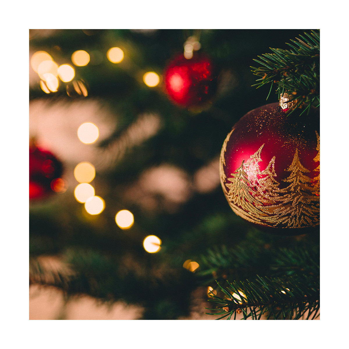 Fragrance Magie de Noël