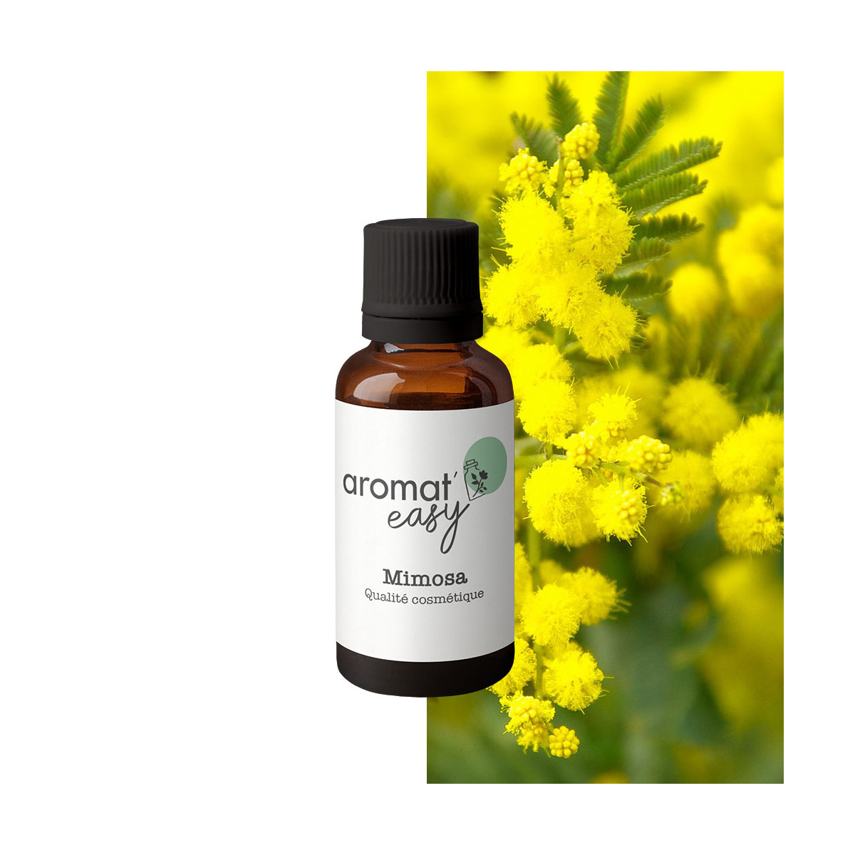 Fragrance Mimosa (Grasse)