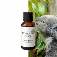 Fragrance Eucalyptus (Grasse) Sans allergène