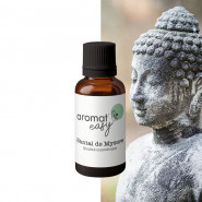 Fragrance Santal de Mysore - Sans allergène