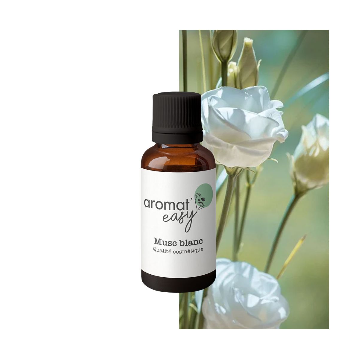 Fragrance Musc Blanc