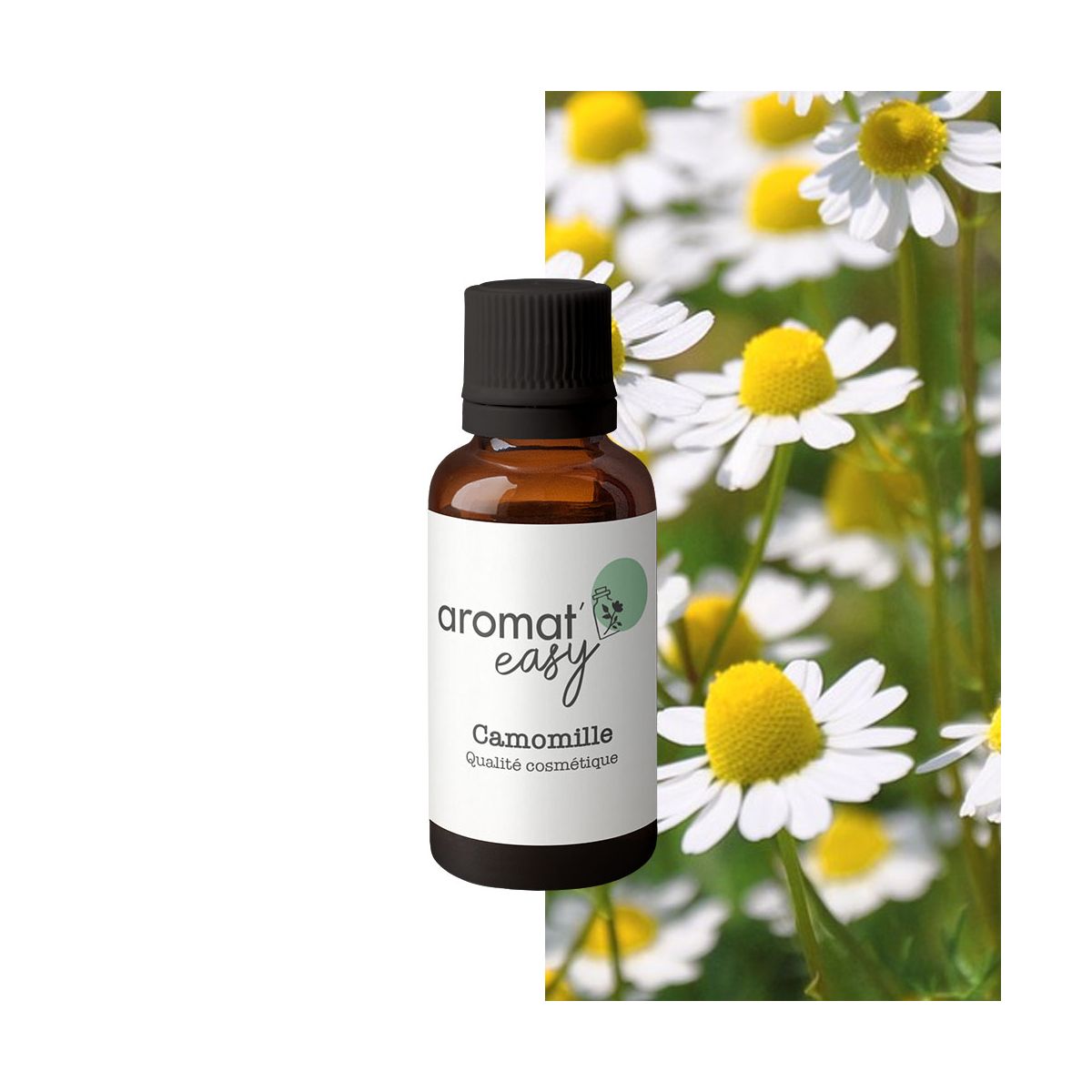 Fragrance Chamomile Camomille 10ml