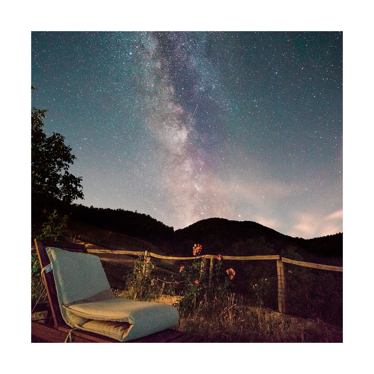 Fragrance Une nuit au jardin