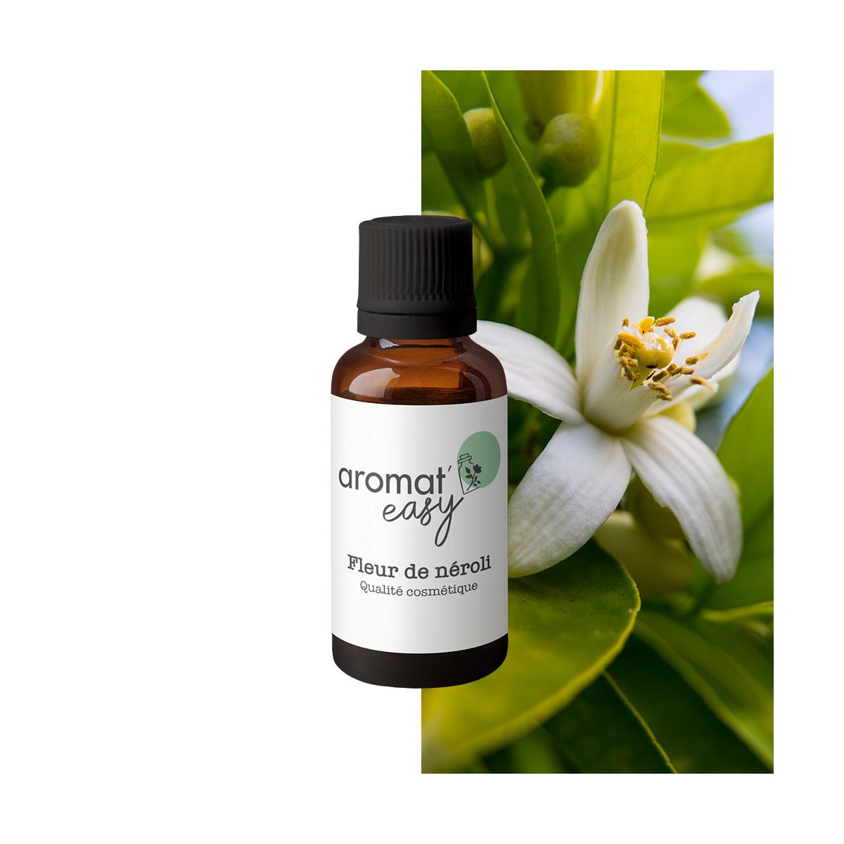 Fragrance Fleur de Néroli
