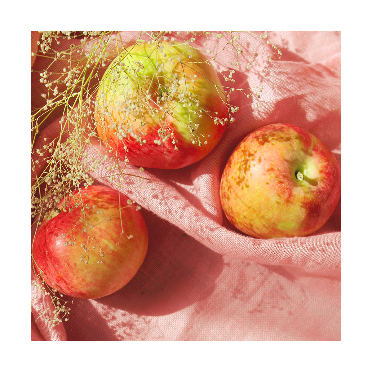 DL/Fragrance Le fruit défendu - Sans allergène