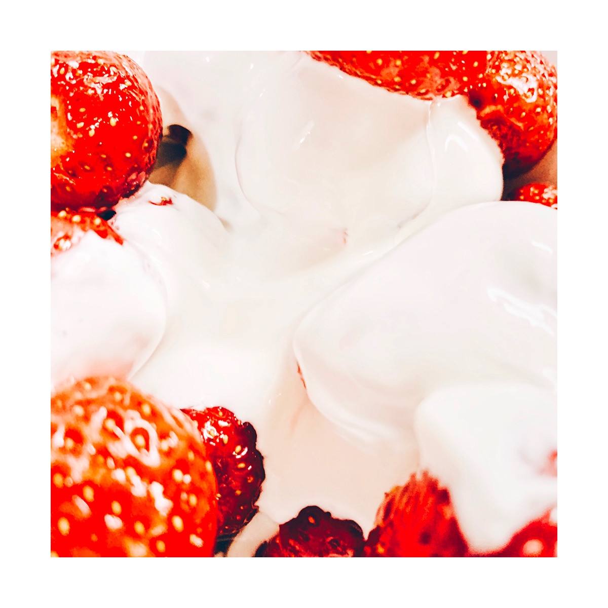 Fragrance Fraises chantilly