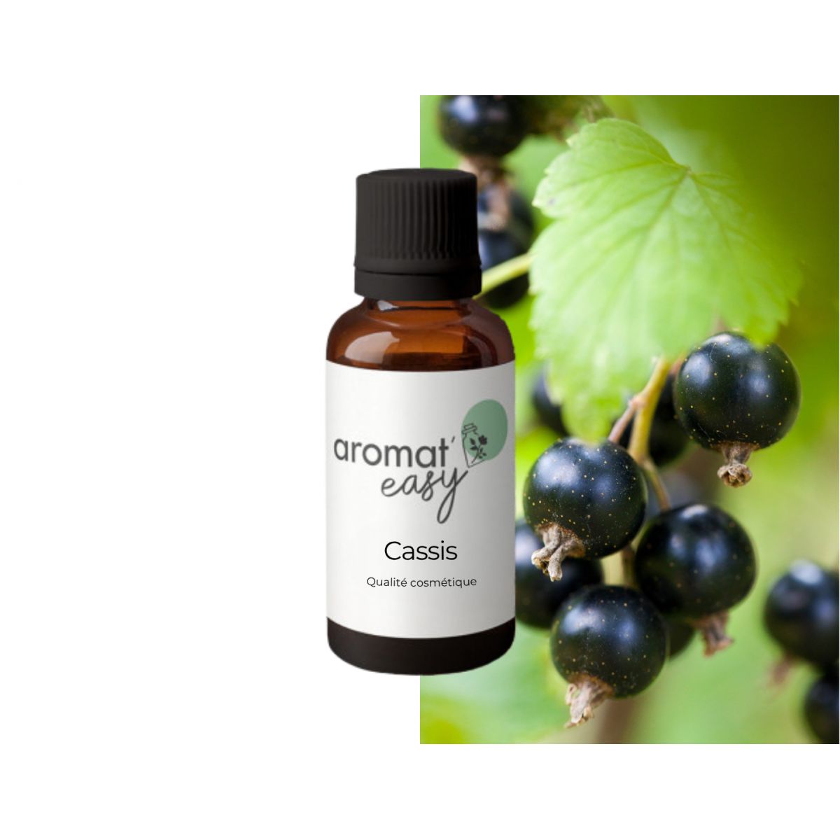 Fragrance Cassis - Sans allergènes